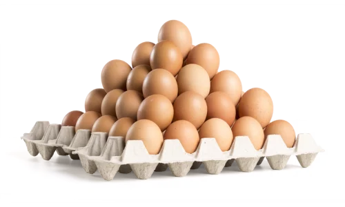Wholesale Fresh Brown/ White  Chicken Table Eggs