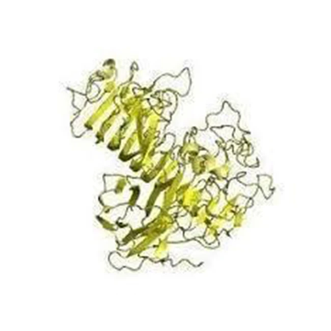 Поставка от производителя натурального фермента декстраназы-Zealmax Biopharma