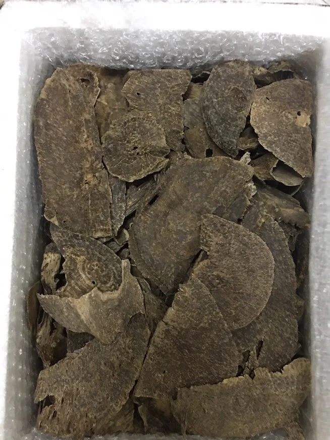 JUNGLE PURE OUD TRIPLE S QUALITY JAR FROM KHANH HOA - STRONG SWEET SMELL - HIGH QUALITY PRODUCT