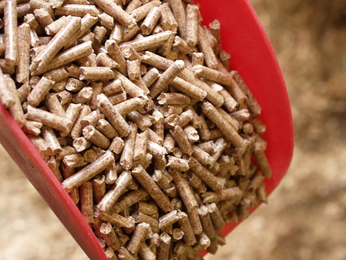 Wood Pellets.jpg
