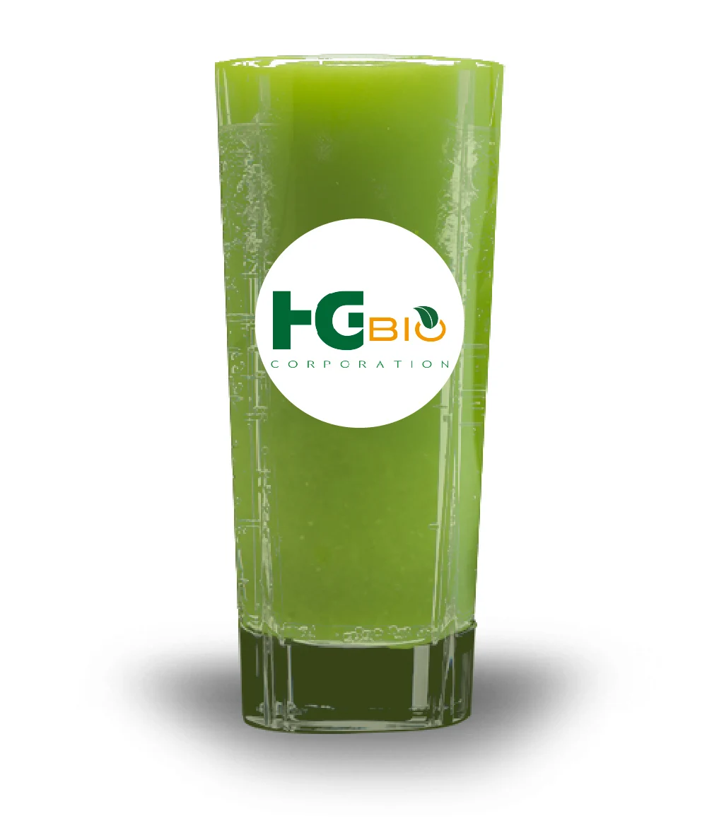 
Popular health food of ashitaba and green juice powder 