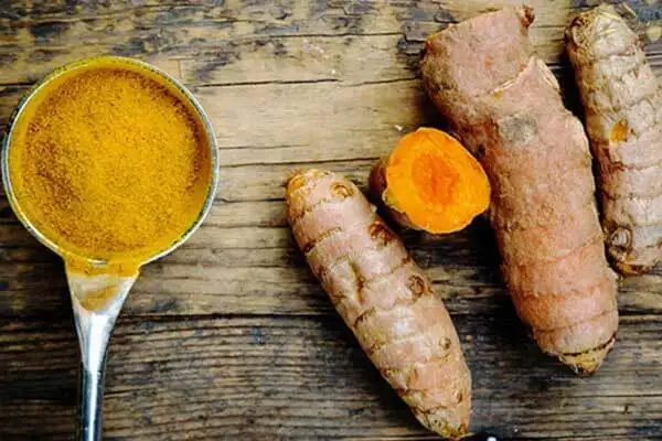 The most competitive price fresh tumeric in Viet Nam - Whatsapp: +84-845-639-639