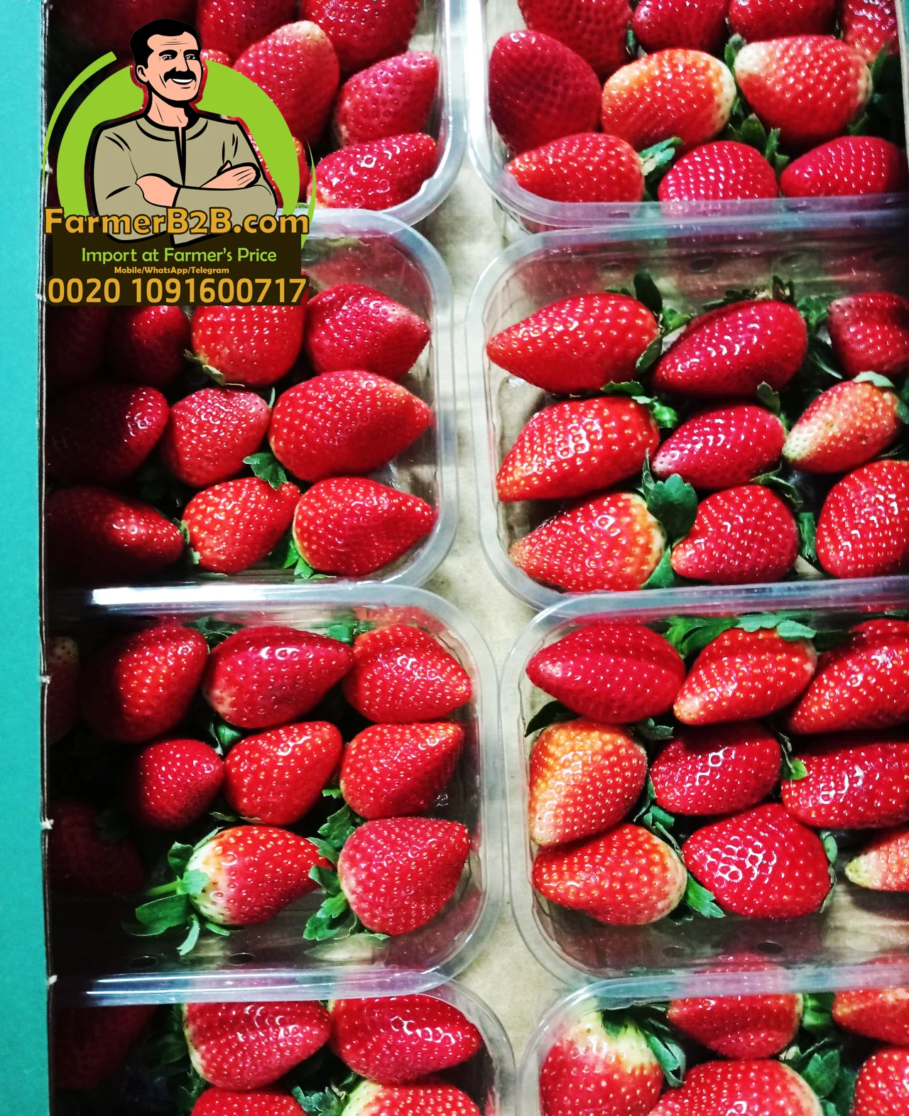 Свежая клубника 2021/2022 европейского качества + очень конкурентоспособная цена