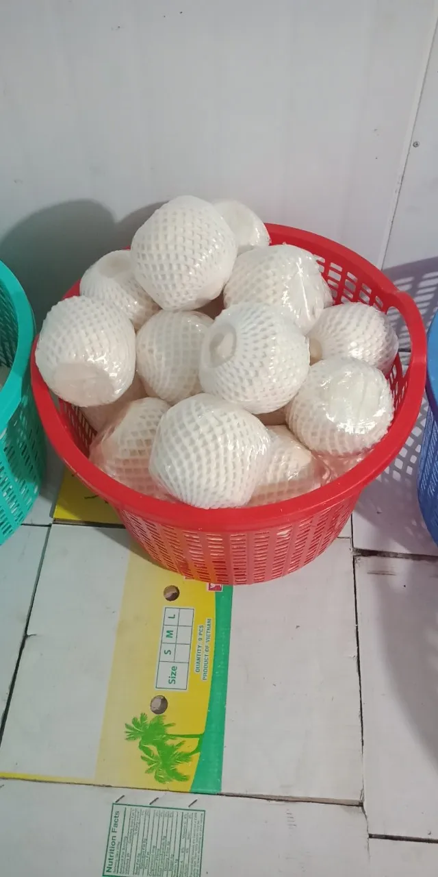 100% Natural Wholesale Coconut / Fresh Matured Coconut whatsapp +84 966208131