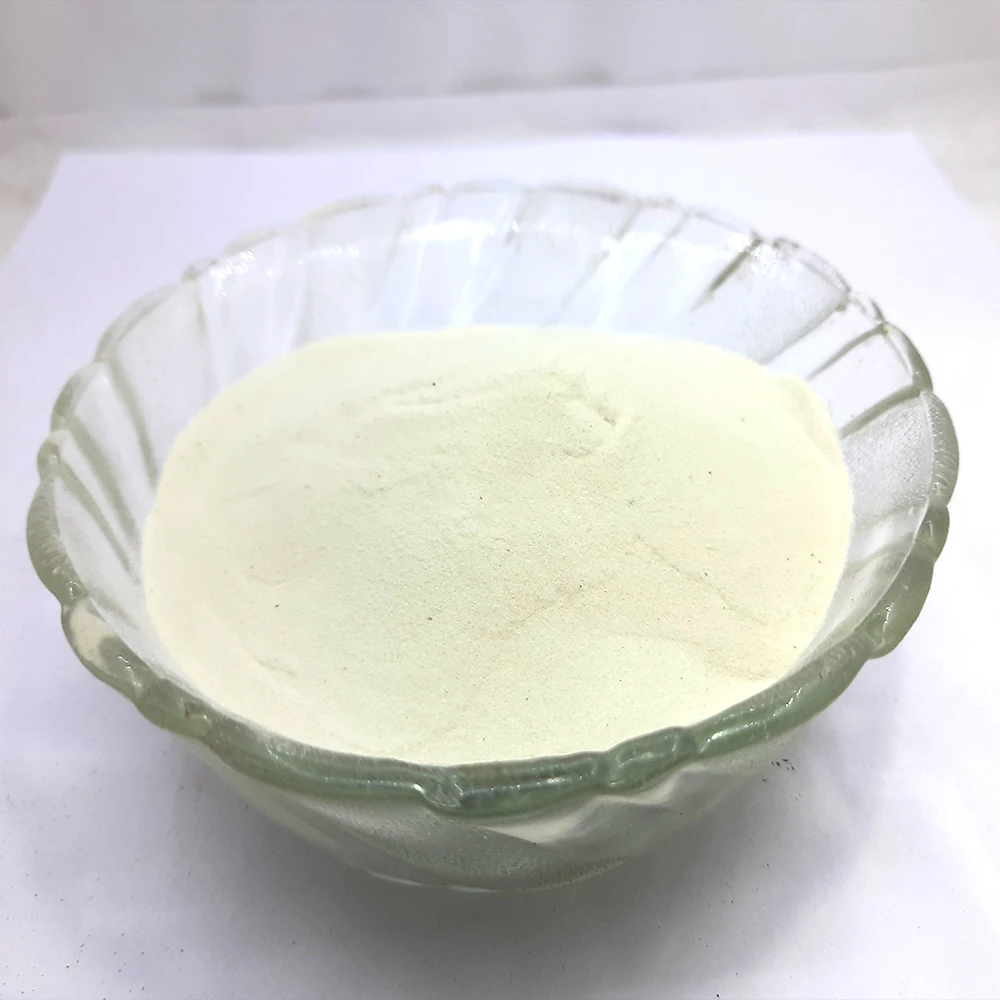 Serrapeptase 2400 IU Food Powder Enzymes