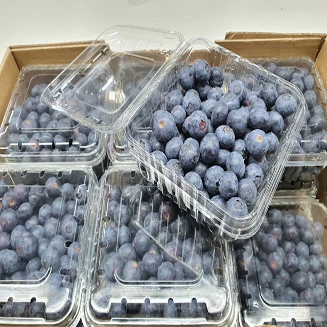 Best top best Quality Fresh Strawberry Frozen Strawberry blue Berries Fresh Berries Fruits