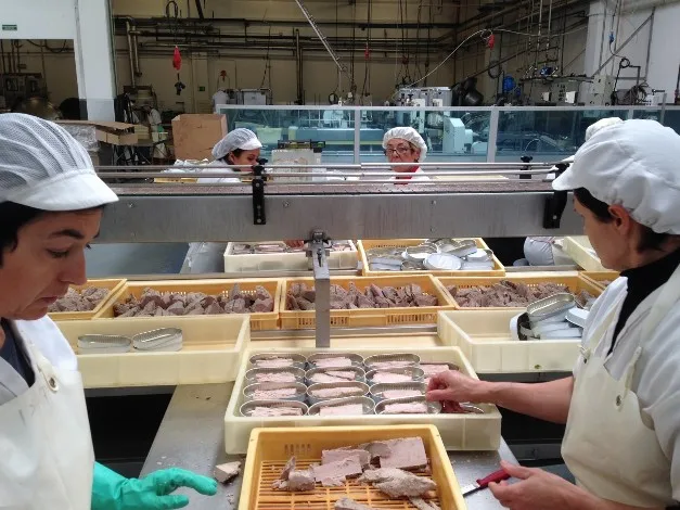 Лидер продаж консервированные продукты консервированная рыба фабрика консервированный тунец в масле/в воде 185 г