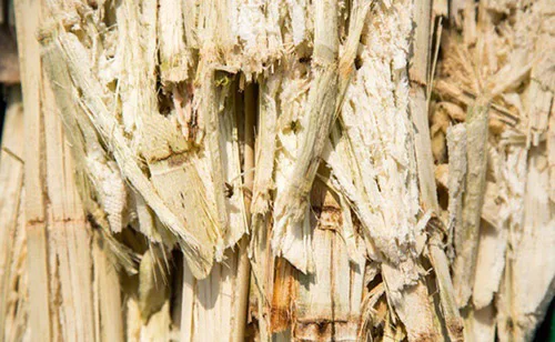 Оптовая продажа большого количества сугарского багасса для корма животных по низкой цене