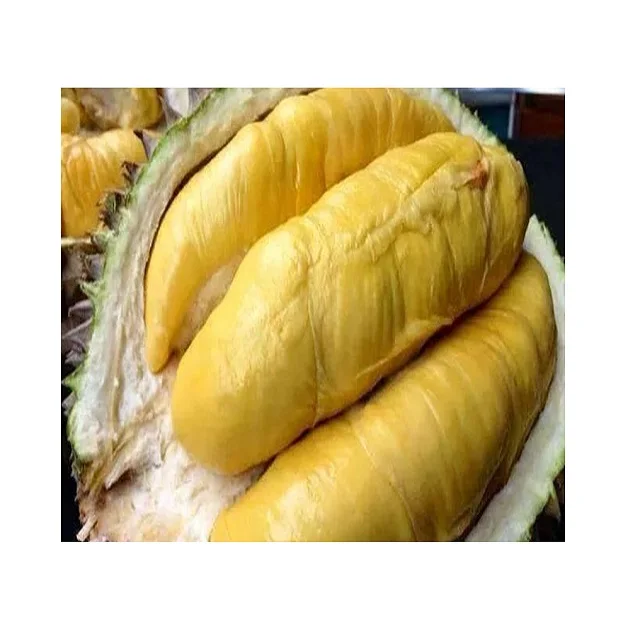 
VIETNAMESE BEST QUALITY DURIAN FRUIT 2020 - Fresh Durian / Dry Durian / Durian Frozen at Competitive Price 