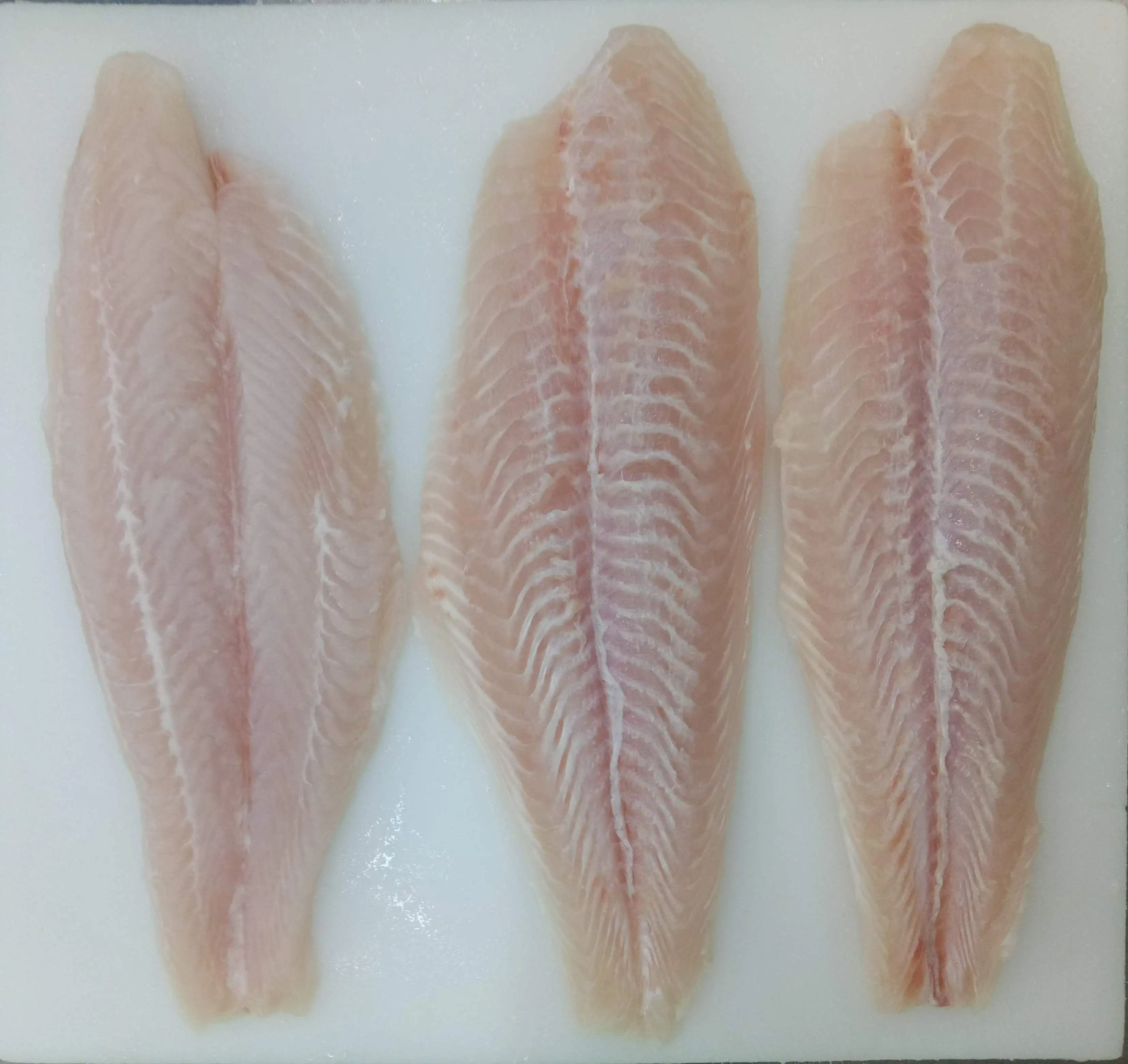 Supplier Quality Frozen Pangasius/ swai/basa Fish Fillets with premium frozen at Competitive Price