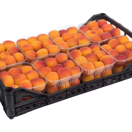 
Italian High Quality Red Apricot Fresh Apricots for Sale 