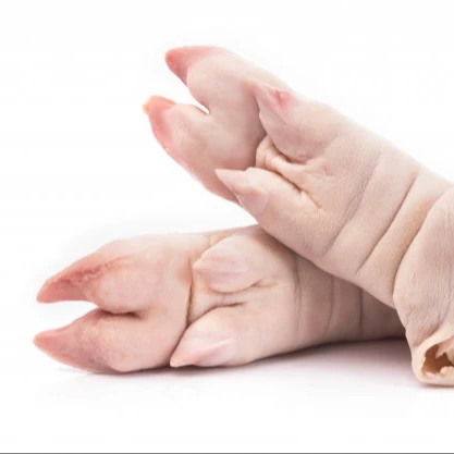 Frozen pork feet, front/hind legs Top Quality from Germany