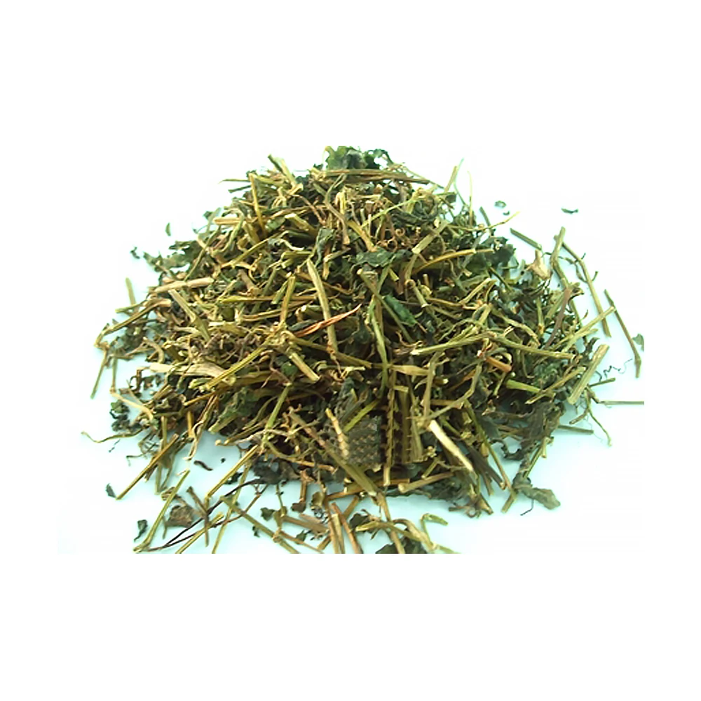 Wholesale Price herbal Jiaogulan best quality organic jiaogulan for Herb from Thailand