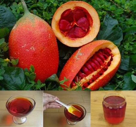 Масло GAC OMEGA 3 6 9 подходит для глаз из Вьетнама // Хелен + 84 374288086