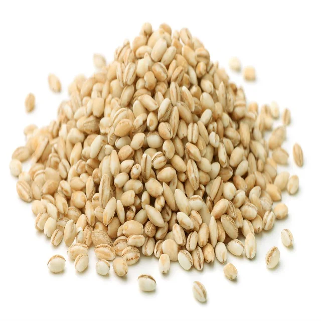 
Top Quality Barley grain/Moderate Prices 