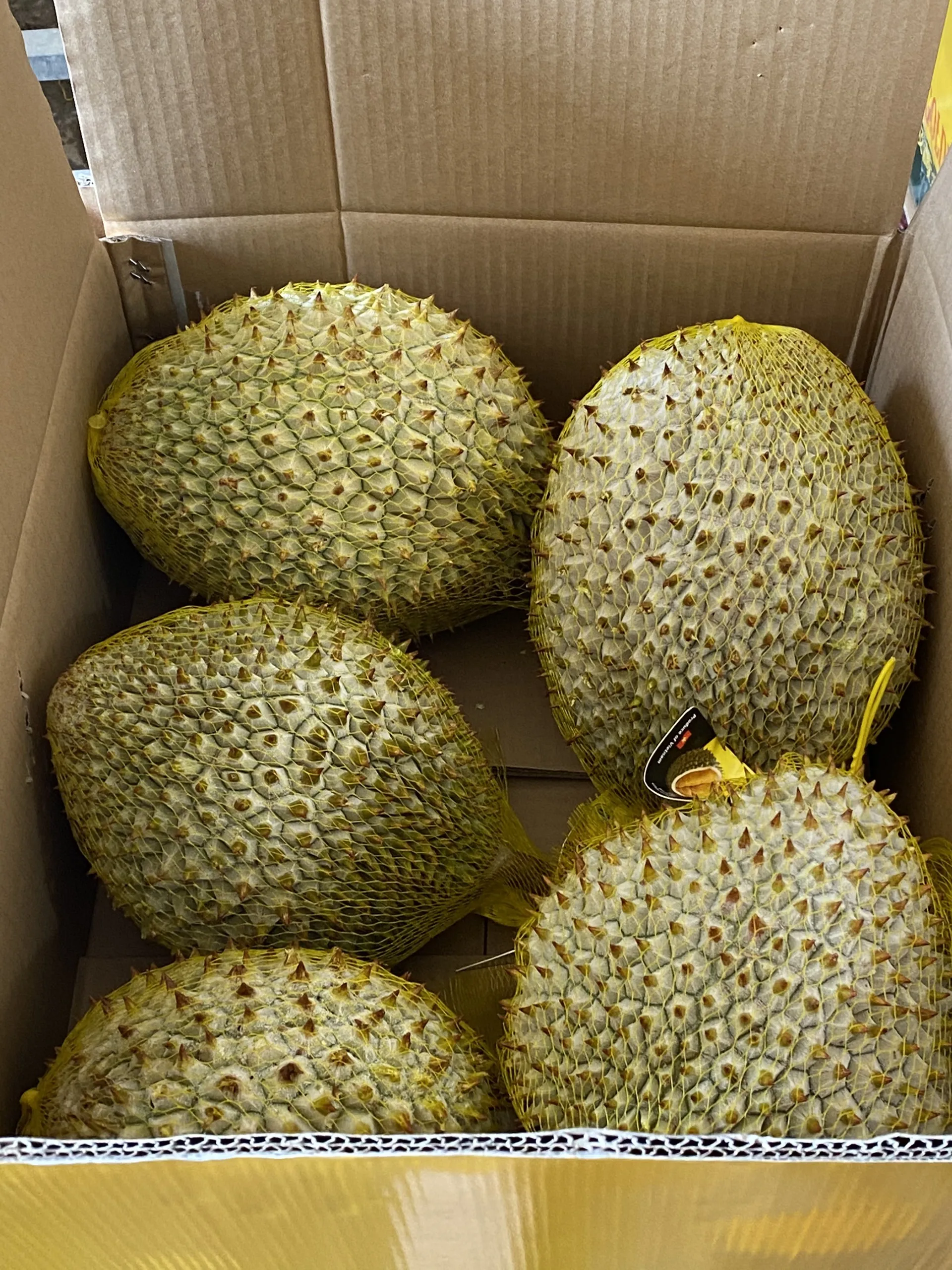Низкая цена-продукты дуриан свежие тропические фрукты во Вьетнаме-Ms. Smiley + 84 328334958 ( Whatsaap)