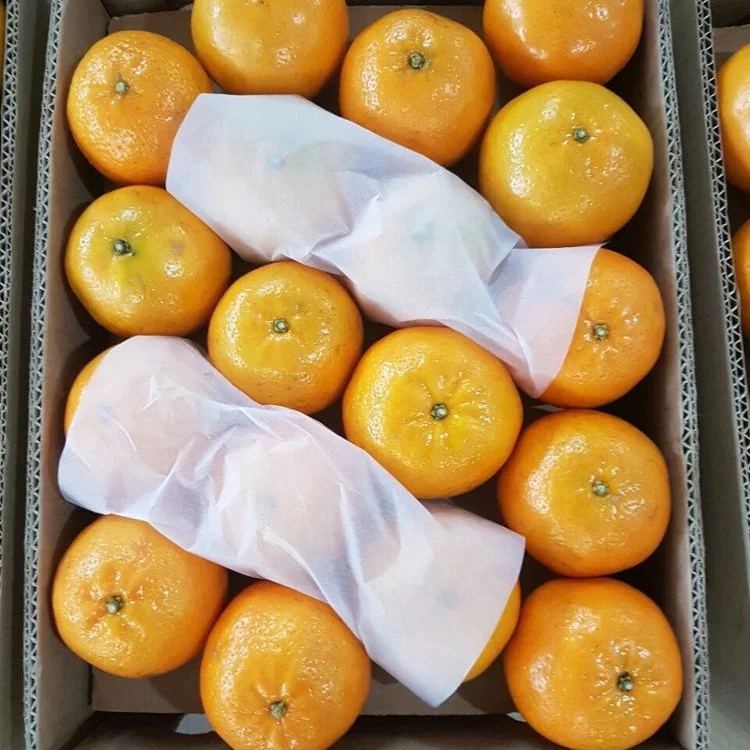 
Свежий органический оранжевый класс А мандарин Kinnow из пакистана  (62013740293)