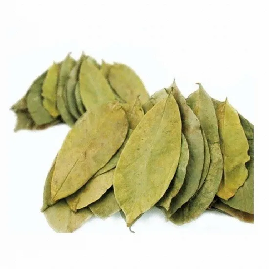 
Cancer treatment dried Graviola leaf Origin Viet Nam /Whatsapp: +84 90 335 4981 