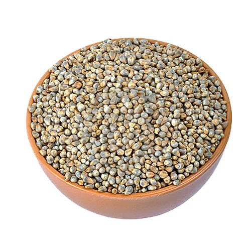 
BAJARA SEEDS EXPORTER 