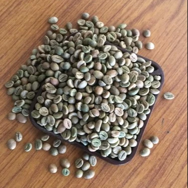 Robusta Cherry Bulk Green Coffee Bean Commercial grade unwashed raw beans from Coorg plantation