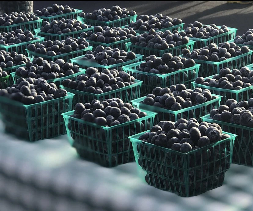 GHRFR (22) - Copy.jpg