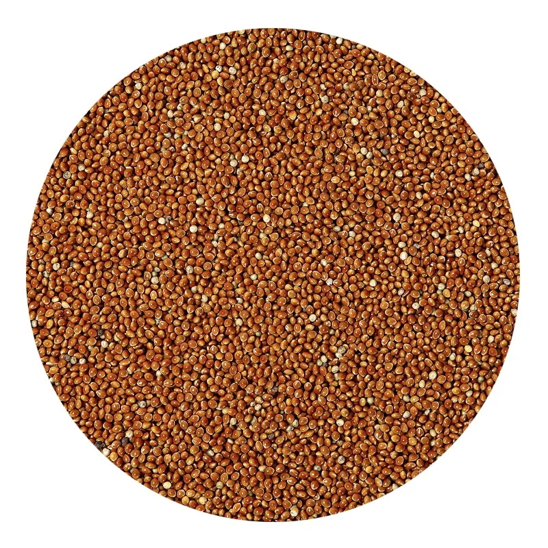 Оптовая продажа, без ГМО, органическое зерно пса, красный ПСО