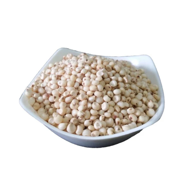 Hot Selling Sunflower Seeds Good Price