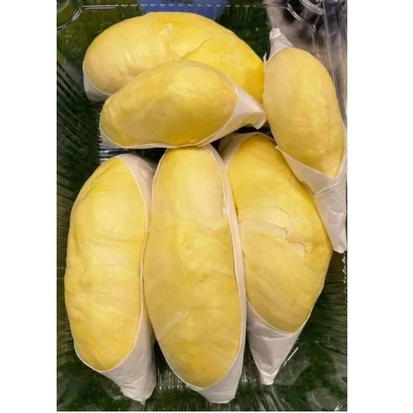 30 to 36 days Shell Life Common Cultuvation Type Durian fresh durian from Thailand export from Thailand