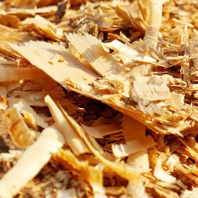 Best Price Wood Sawdust for Sale in Bulk / Agriculture Waste