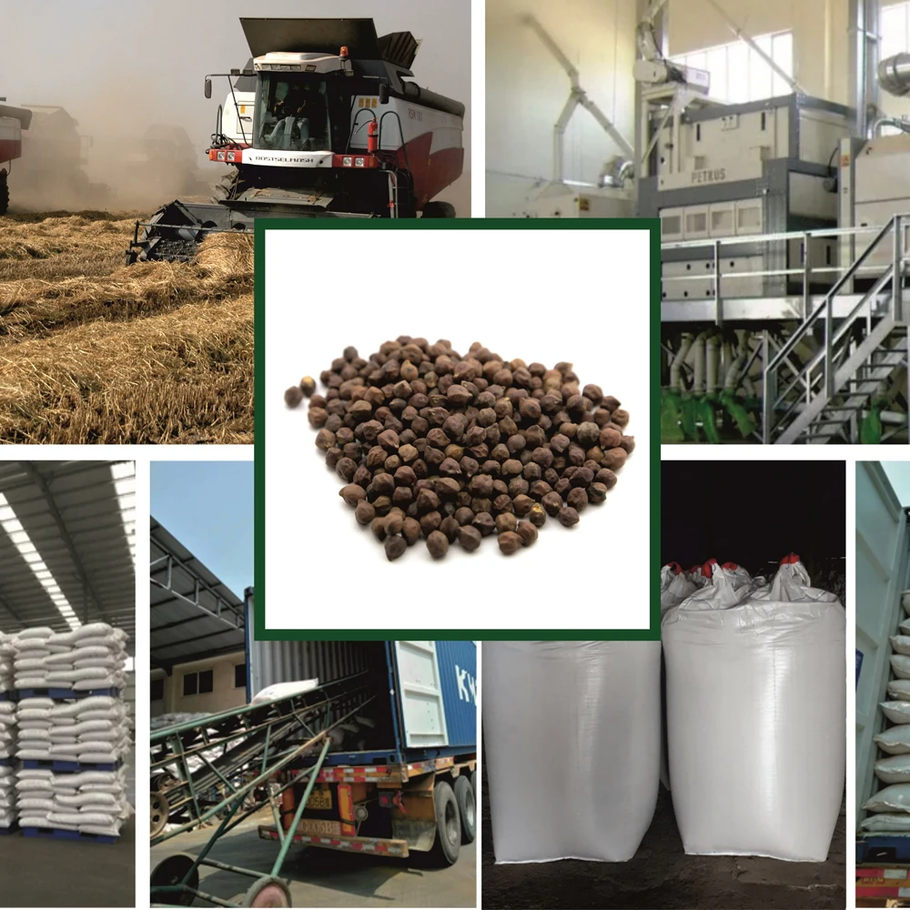 Quality red desi chickpeas  any quality requirements, wholesale prices