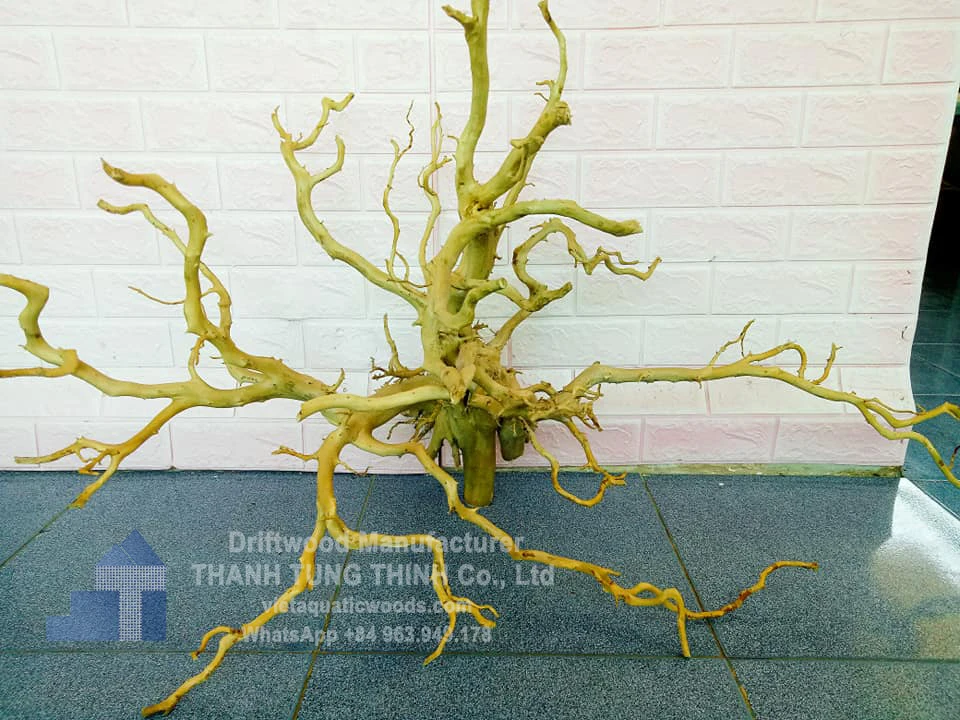 Лидер продаж 2024 коряги мангровые аквариумы натуральные для аквариума аксессуары украшения 2023 WhatsApp + 84 963949178