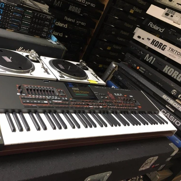  Клавиатура Korg PA4X 76-Note для профессиональной рабочей станции Mint untouch с акустической системой + 3 года