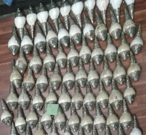 Auspicious Sign set Conch shell