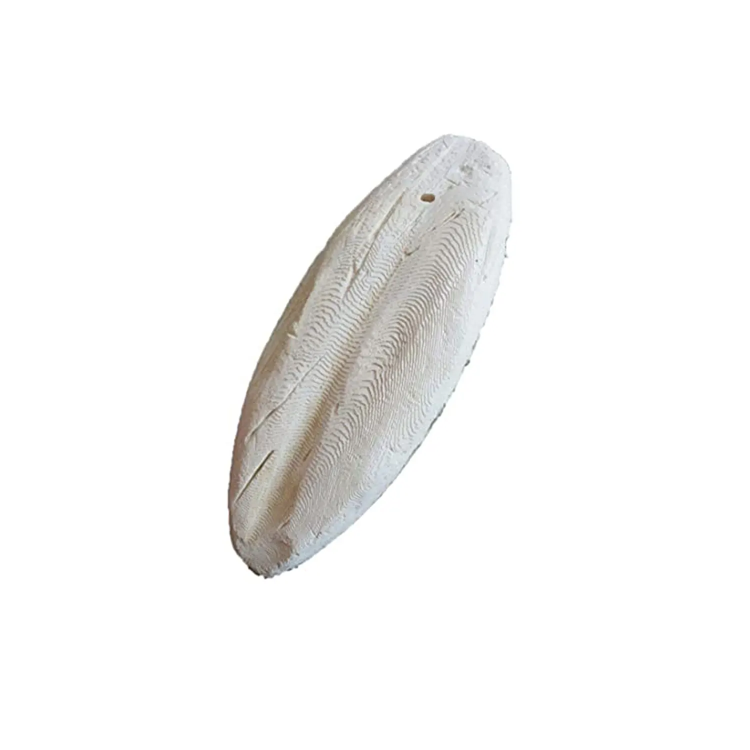 Bulk Cuttle Fish Bone- Cuttlebone Clean For Sale
