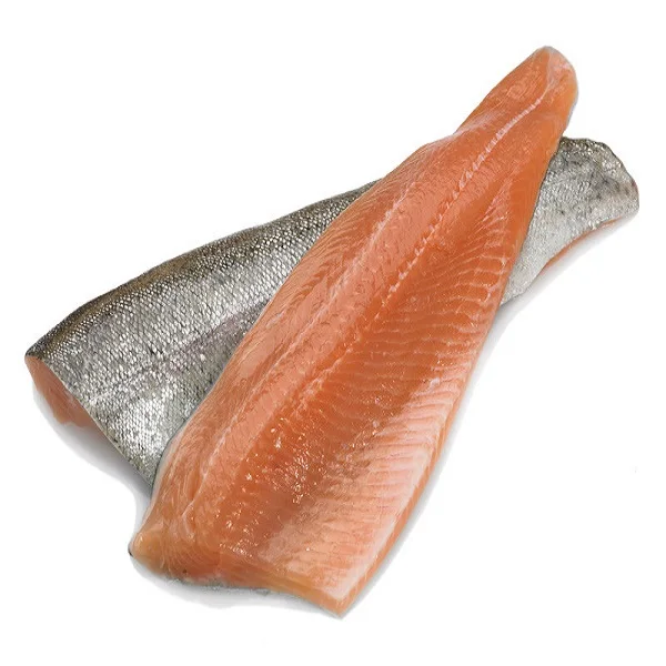 Freshly farmed frozen Sea trout fillet and fish for sale