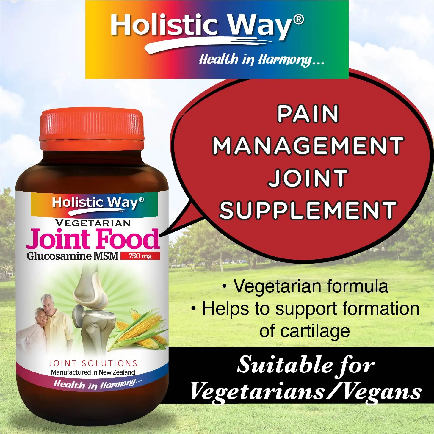 137g Sports Supplements Holistic Way Vegetarian Joint Food With 120 Vegetarian Capsules made in Canada
