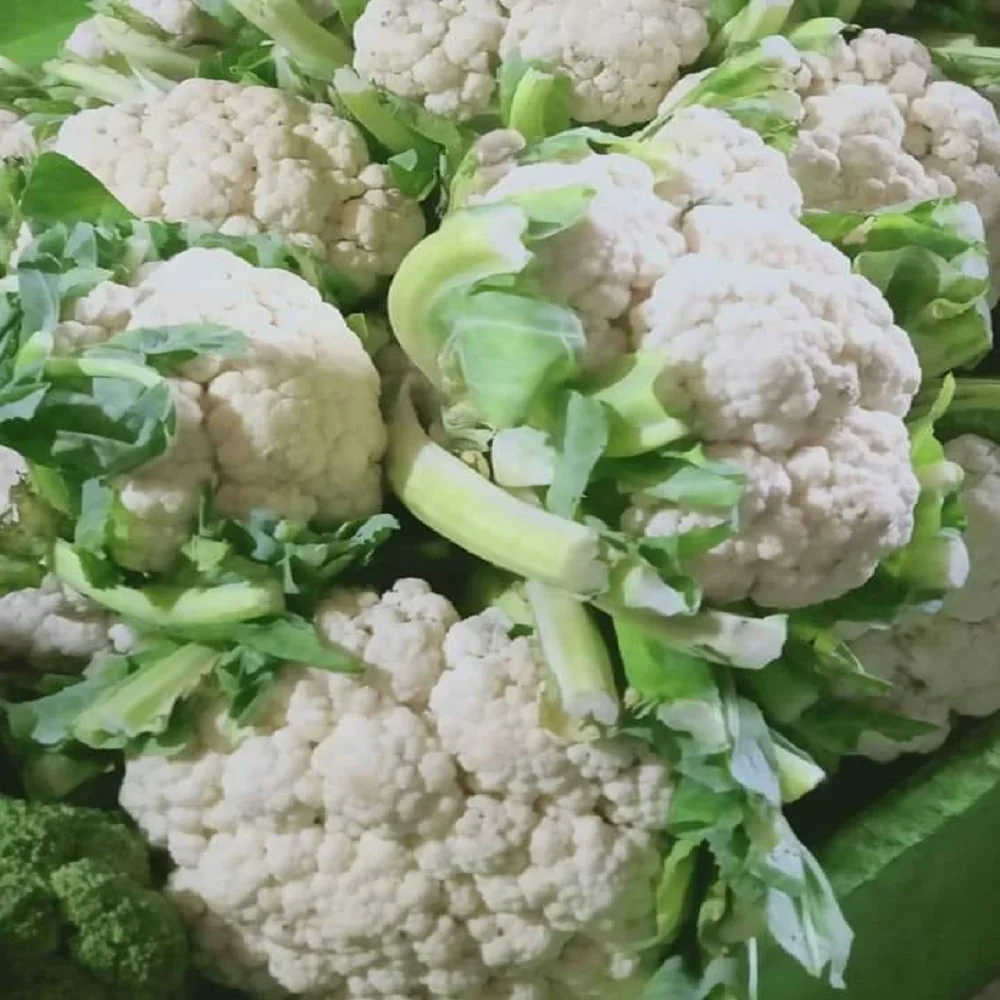 New Harvest frozen Cauliflower Fresh Green leaf Vegetables Healthy Cauliflower