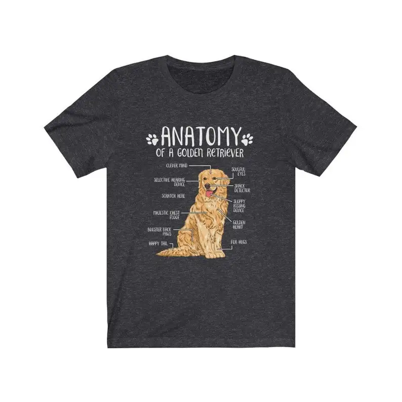 Golden Retriever Anatomy T-Shirt, Unisex Jersey Short Sleeve Tee for the golden lover, Popular outdoor retriever top for walking