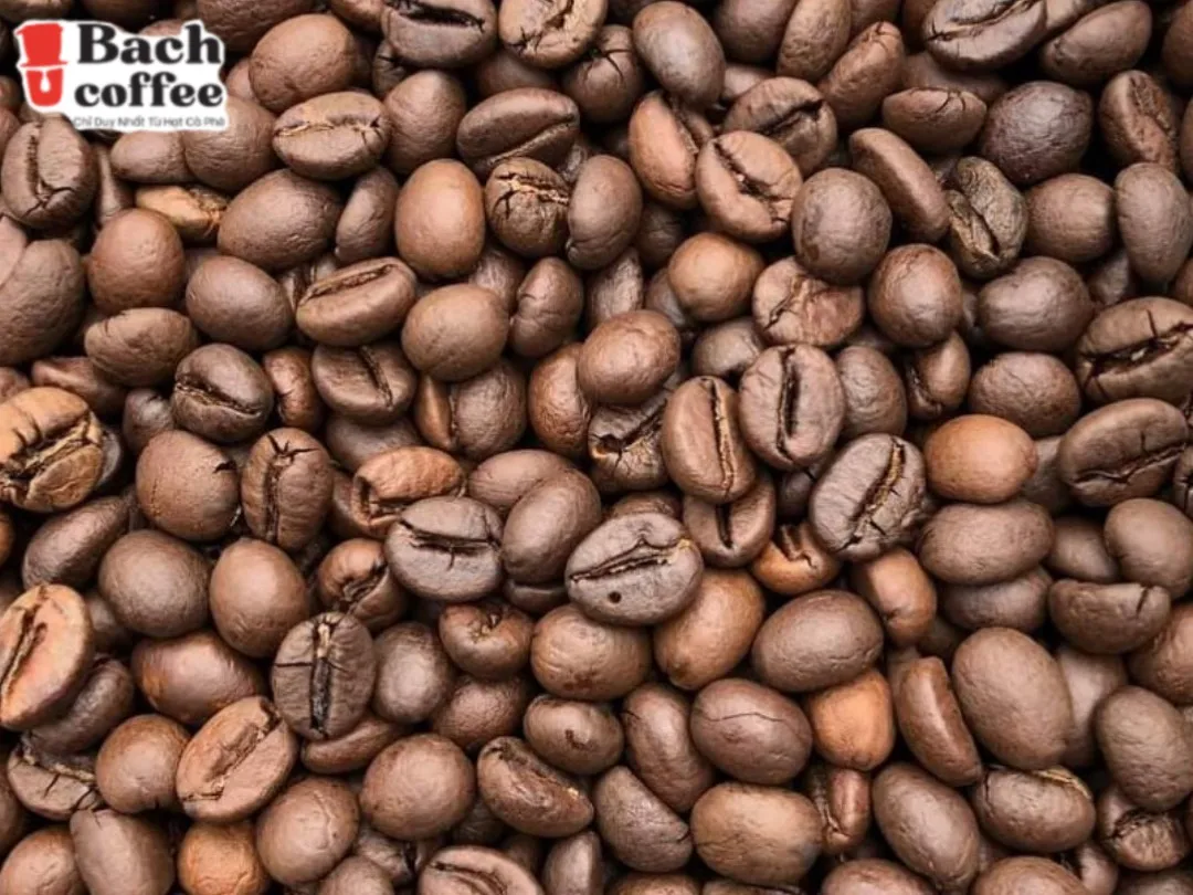 Вьетнамский ЖАРЕНЫЙ КОФЕ Robusta-цельные зерна-земляные/Натуральные Сушеные на солнце-итальянское среднее жареное-OEM-прямая продажа