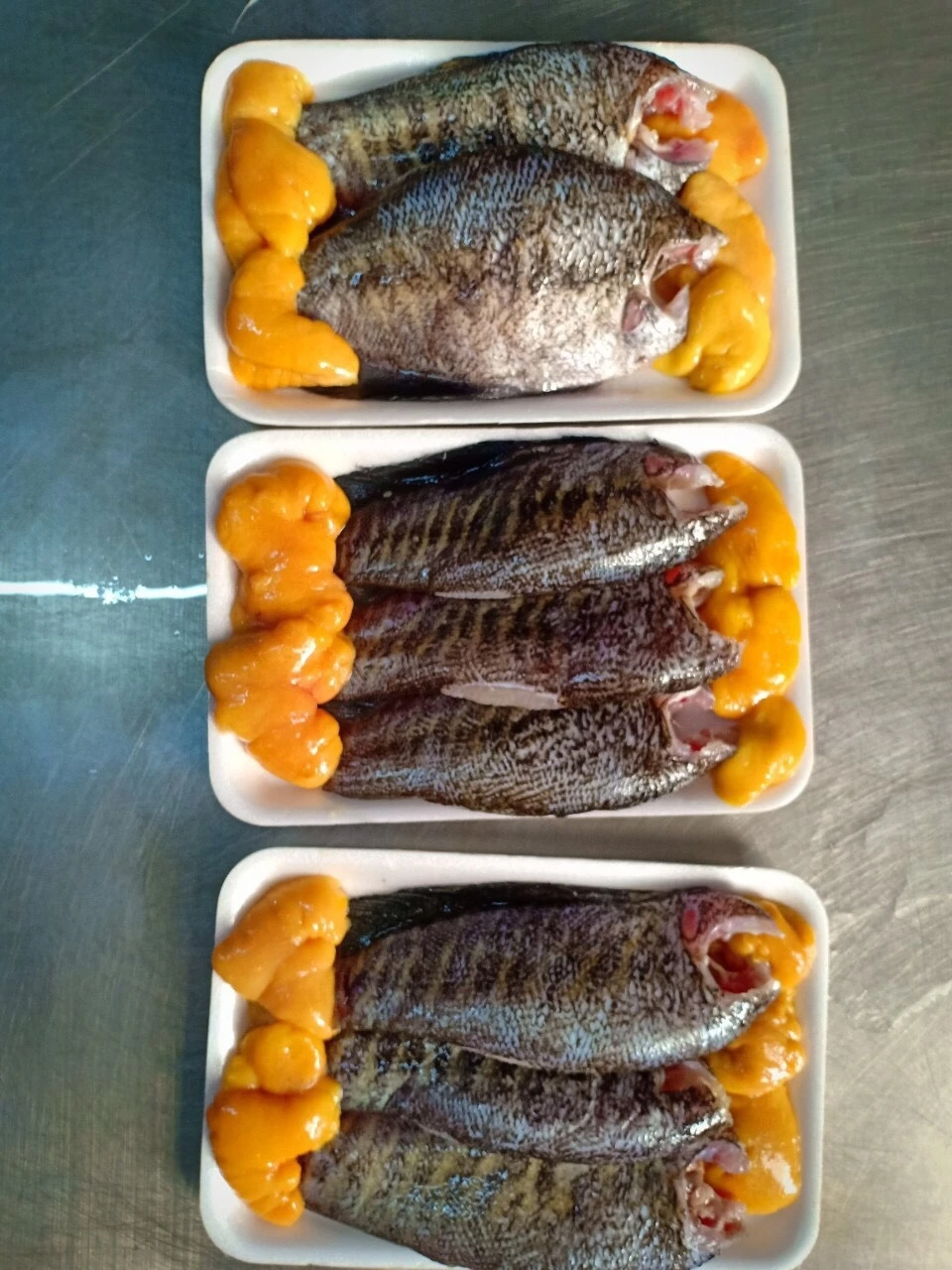 High Quality Frozen Tilapia WR Size 200/300 300/500g Best Fresh Whole Round Frozen Black Tilapia Fish