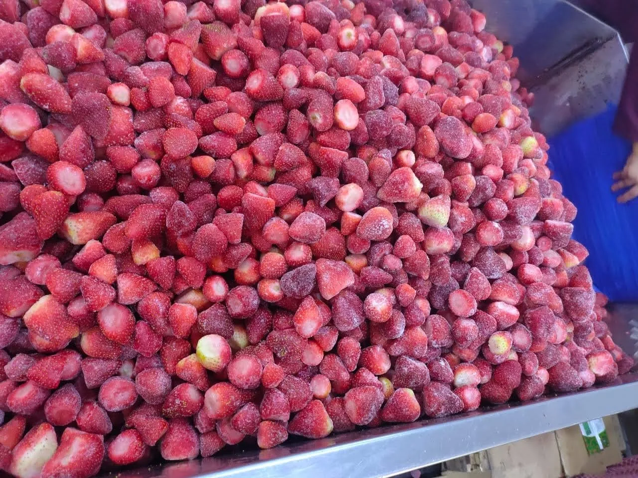 2022 Wholesale new crop class A/B Frozen fresh Fruits IQF Frozen Strawberry