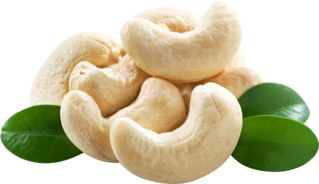 
BEST MANUFACTURE VIETNAM CASHEW KERNEL/CASHEW NUT WITHOUT SHELL - GRADE WS 
