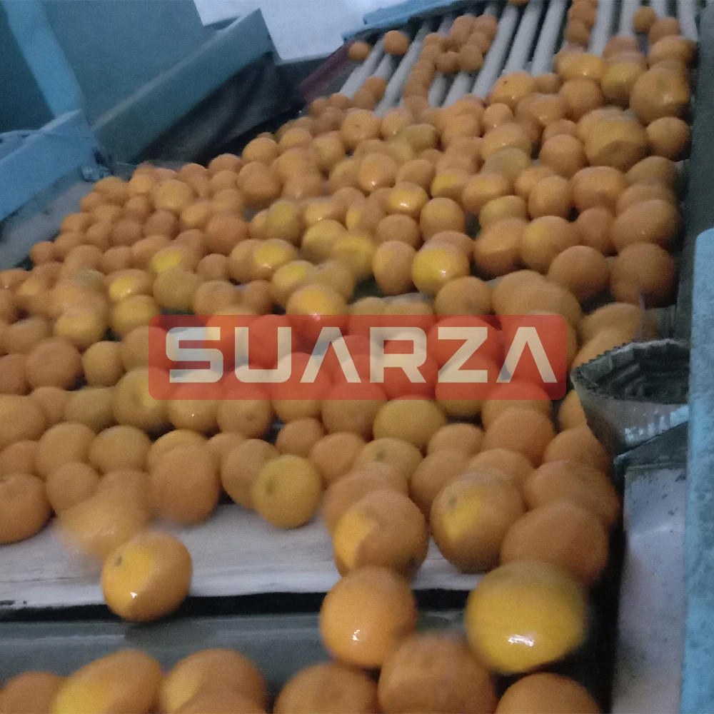 Пакистанский продукт пакистанский свежий мандарин