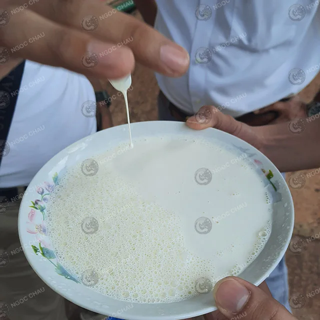 MANUFACTURER LATEX CENTRIFUGED 60 DRC FROM VIET NAM FACTORY high quality best price for vglove production