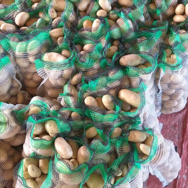 Potatoes High Quality Fresh Mozika Express Potatoes form Pakistan