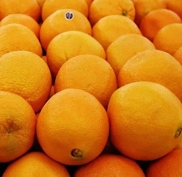 New Fresh Yellow Orange Natural Fresh Orange Fruit, Navel Orange