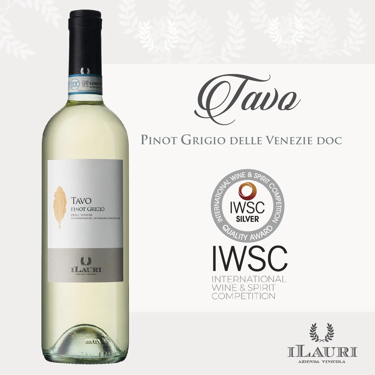 
Top Quality Italian White Wine - ILAURI TAVO Pinot Grigio Delle Venezie DOC (12% vol.) - 75cl 