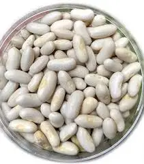 
Premium Quality Hot Selling Dried White Butter Beans at Attractive Price 