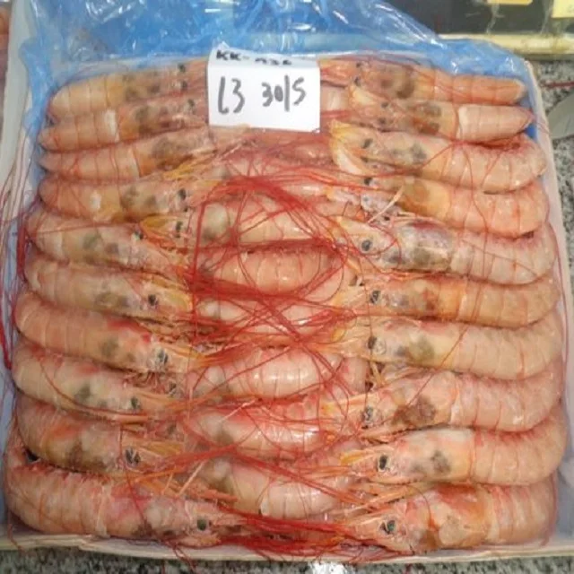 fresh  Frozen chilled Red Argentina Shrimp for sale at wholesale prices