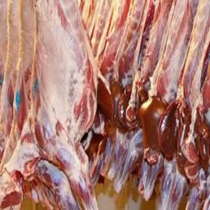 
FRESH FROZEN HALAL GOAT MEAT FOR SALE 